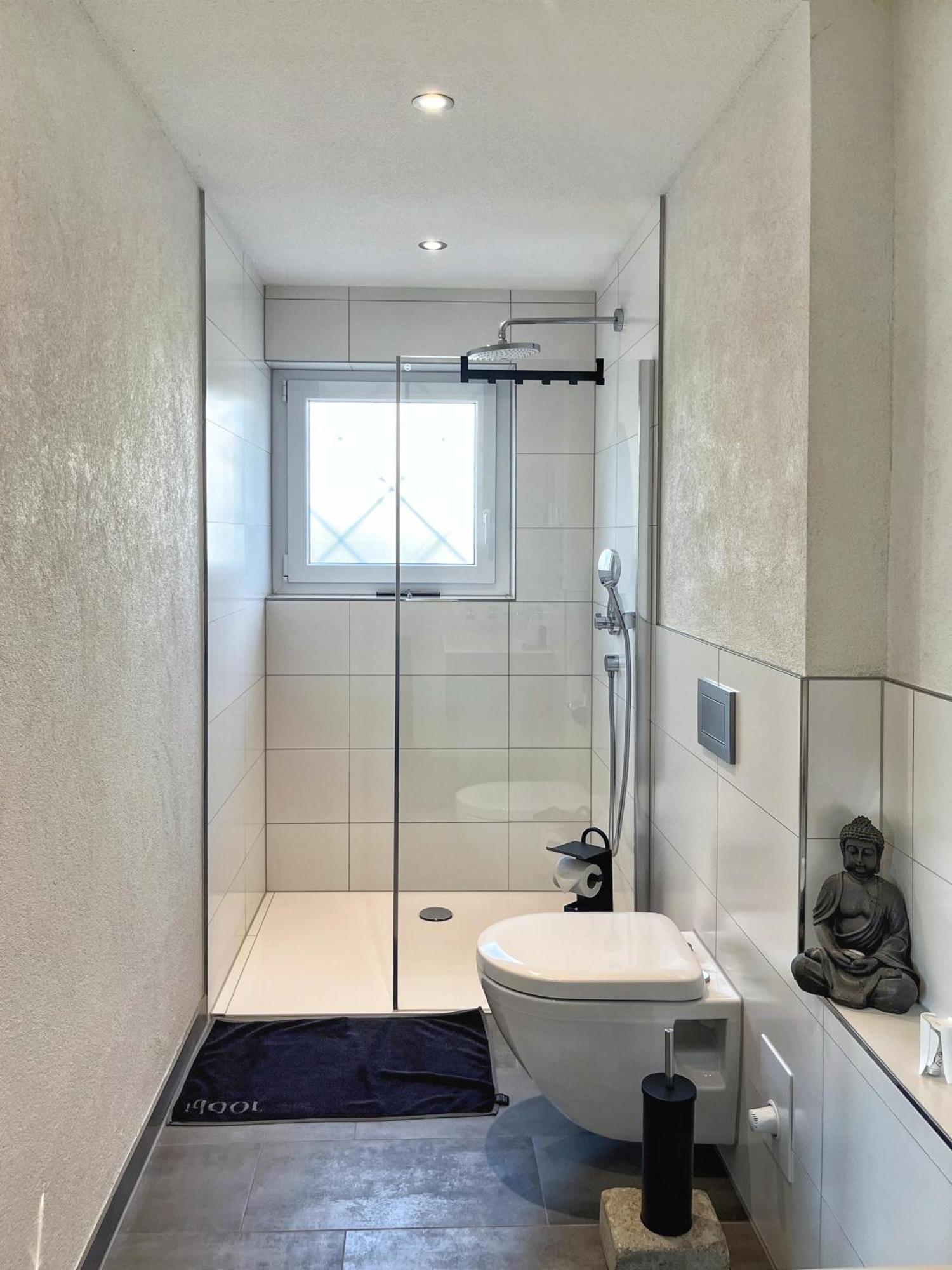 Hegau Bodensee Apartment Rielasingen-Worblingen